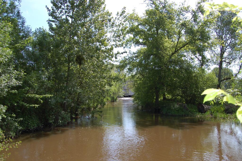 Le Moulin Neuf Bed & Breakfast Vignoux-sur-Barangeon Bagian luar foto