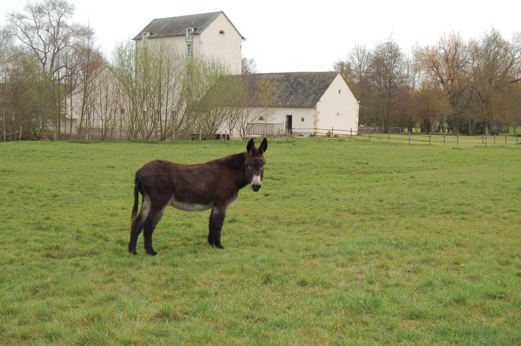 Le Moulin Neuf Bed & Breakfast Vignoux-sur-Barangeon Bagian luar foto